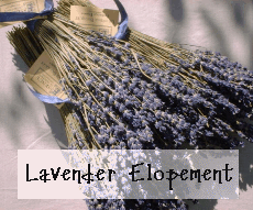 lavenderbouquet.gif (40056 bytes)